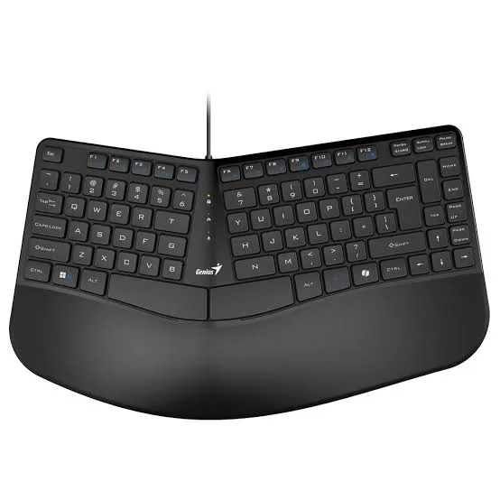 TECLADO GENIUS ERGO KB-700 SPANISH - USB